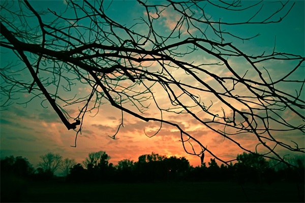 带深爱的网名昵称大全