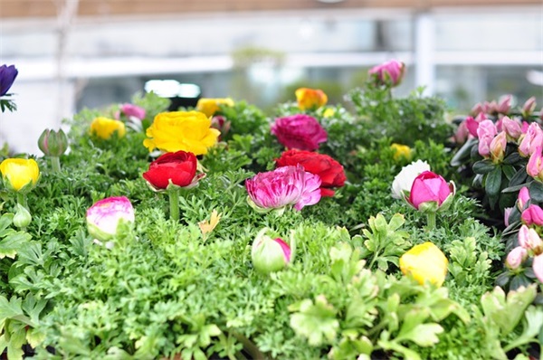 有关爱情英文的句子