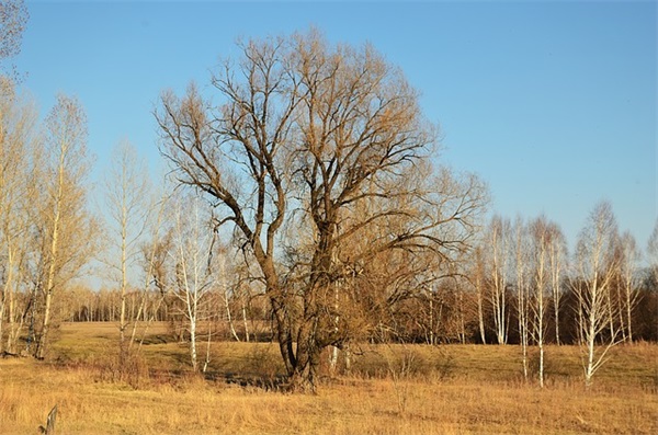 减肥句子励志心灵鸡汤