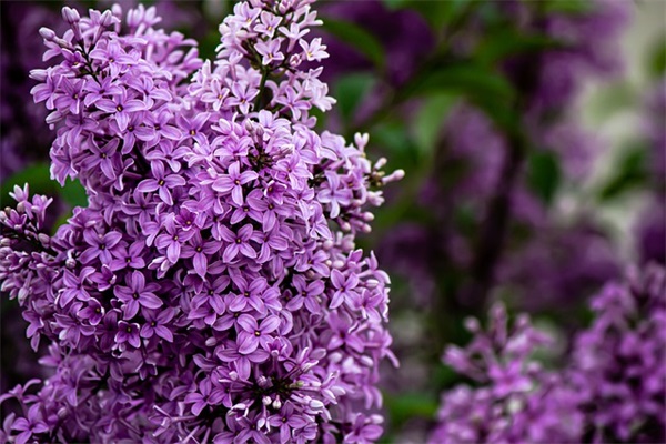 适用于写作的优秀句子