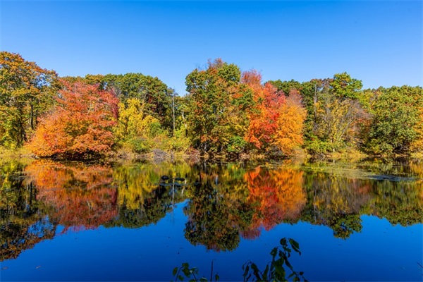 电力工程自动化论文