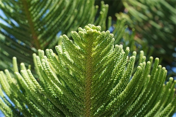 教授旷课做检讨