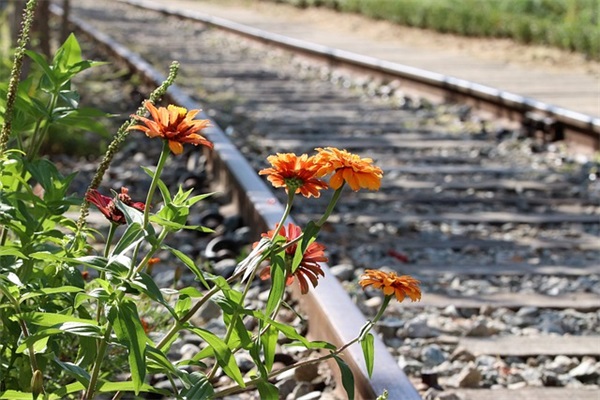 高贵优雅的四个字微信名