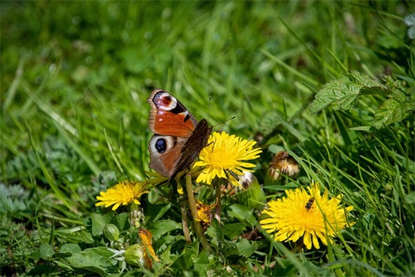个人自我评价怎么写优秀