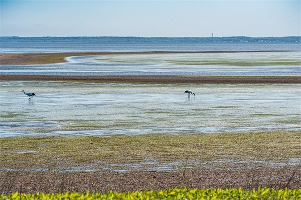 带正字的励志网名男士