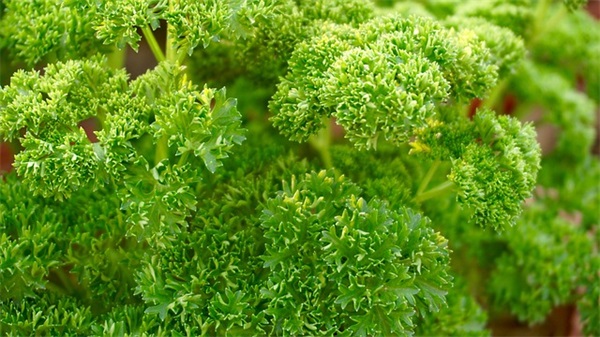 带单词的游戏网名大全