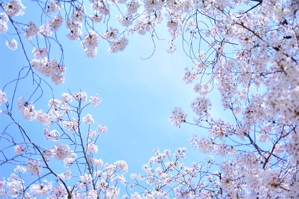 带反问句的网名女孩可爱