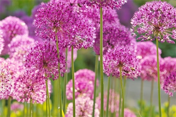 带富平的网名大全女人