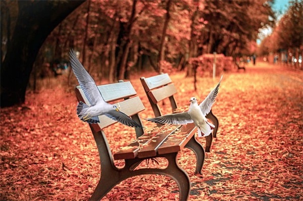 带木字的文字网名女