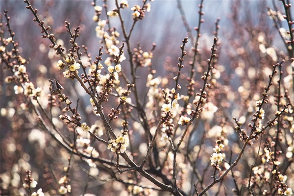 带墨镜的大叔网名女的