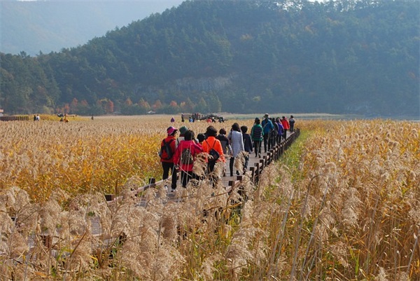 带木的好的网名男孩