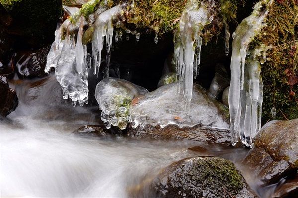带木字旁的网名女