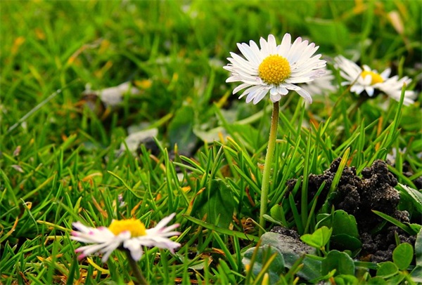 六一儿童节怎么发朋友圈17句