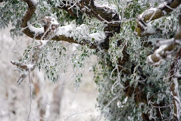 朋友圈晒早餐的佳句68条