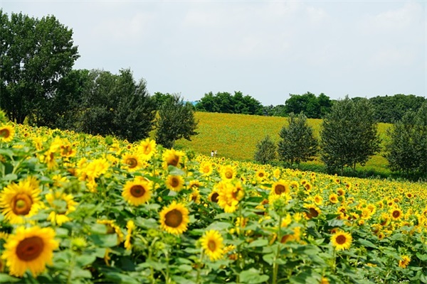 拥抱的唯美句子53句