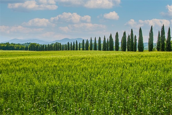 过日子文案64条