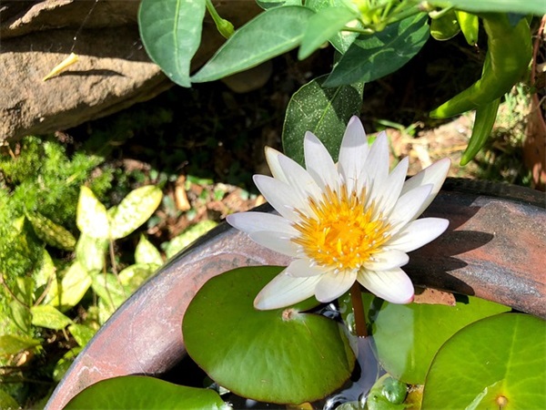 初中毕业唯美句子寄语简短2025