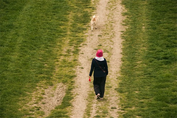 九月初九早安心语说说汇编(重阳节朋友圈祝福语)