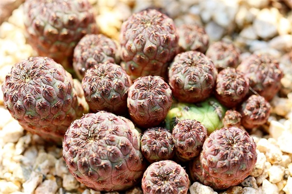 简短毕业祝福语 简短毕业祝福语字的