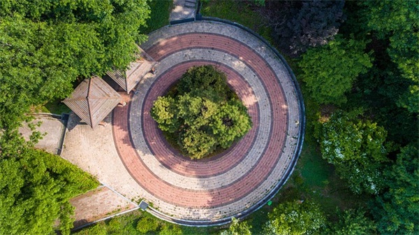 祝福老板的中秋节福语 中秋节祝福老板的短句
