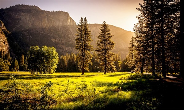 考研祝福语和鼓励的话四字