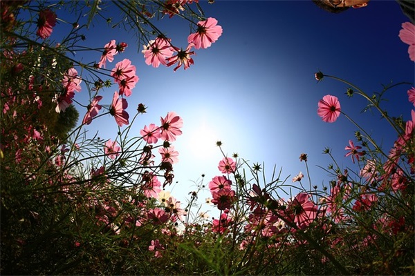 精选的中秋祝福大全 企业中秋节祝福语大全