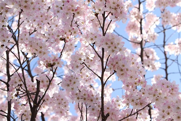 2026年精选中秋节祝福佳句