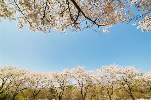 适合自己远行发朋友圈的句子(精选57句)