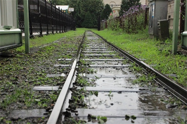 表白情话最暖心50字 七夕表白情话暖心句子