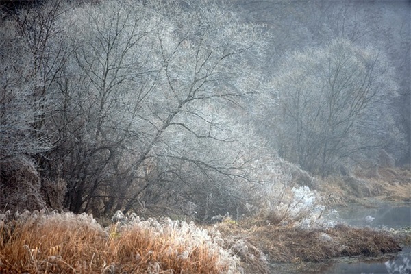 女人婚后心酸经典句子(精选55句)