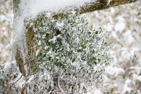 今天中秋国庆祝福语说说