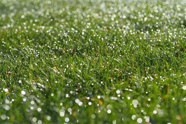 春节英语祝福语2026年