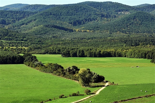 生日卡片的祝福语