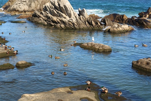 幼儿园元旦祝福语35句