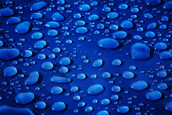 2026虎年春节经典语录大全精选 春节经典祝福语