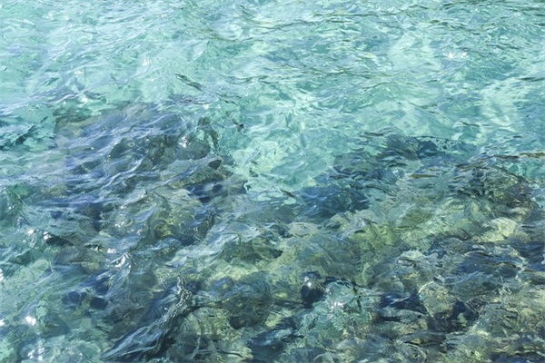 河北加油句子说说语录简短 河北加油祝福语