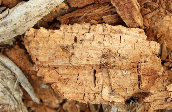 生日祝福语短句 生日祝福短句