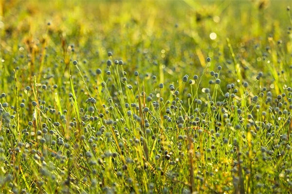 2026年最新网名85句