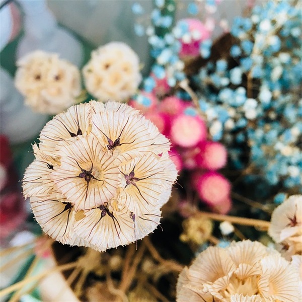 老年人女的微信网名