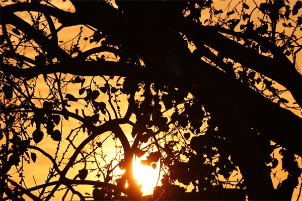 带英文唯美网名女生网名