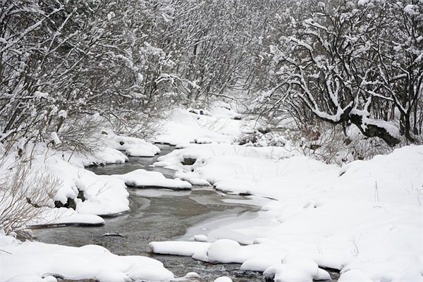 2026年端午节动听的祝福语录
