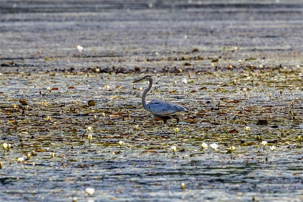 祝我闺蜜生日快乐祝福语