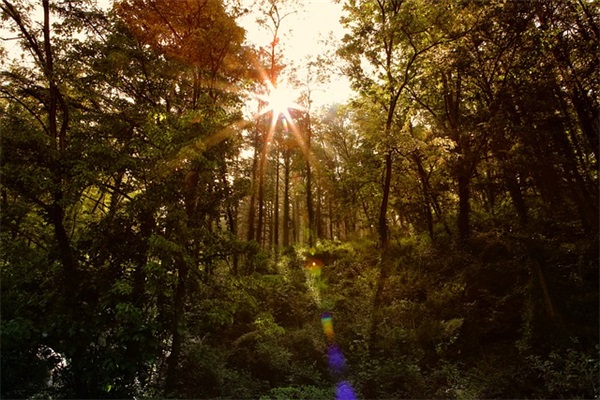 朋友搬家祝福语 朋友搬家祝福语乔迁之喜