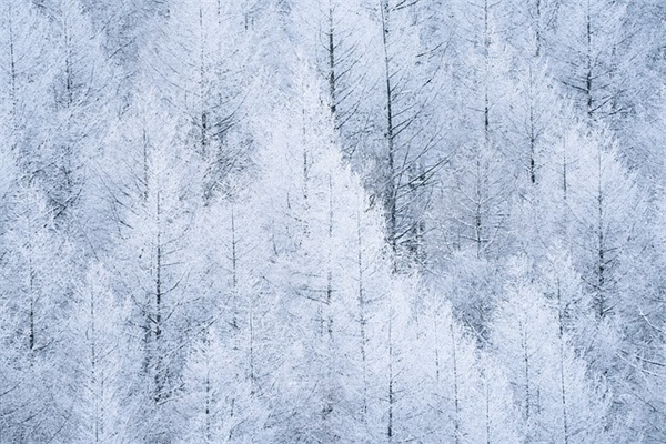 过儿童节经典简短祝福语 儿童节简短祝福语