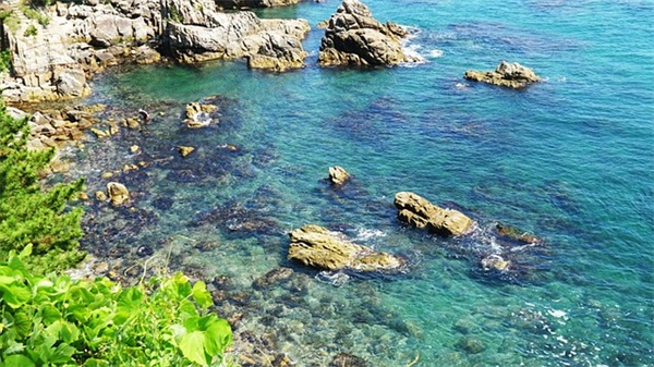 新年祝福语简短创意友情 新年祝福语简短创意