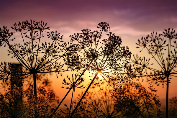 2026年给老师的英语祝福语