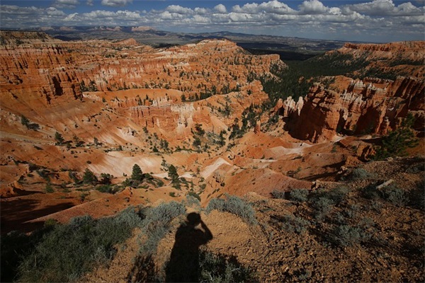 最新结婚祝福语