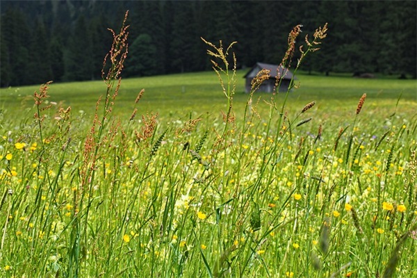 2026年教师节英语祝福语
