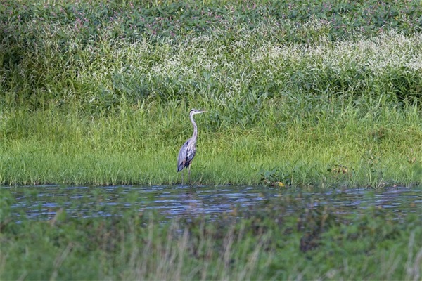 2026元旦幽默个性整人祝福短信
