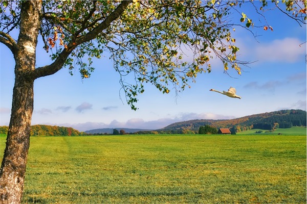 工作祝福语大全简短的 工作祝福语简短的话